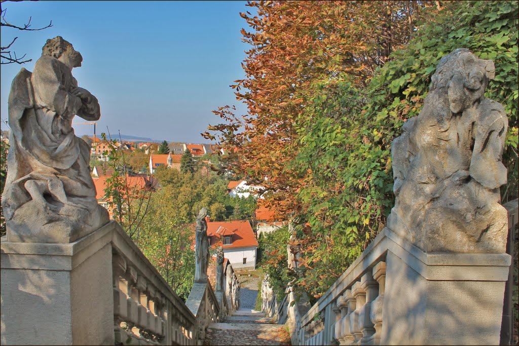 Karmelita Boutique Apartman Sopron Exteriör bild